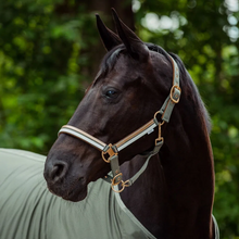 Charger l'image dans la galerie, Horze Montauk licou
