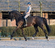 Charger l'image dans la galerie, LeMieux Carbon Mesh Dressage Square