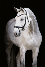 Charger l'image dans la galerie, Bride Schockemohle EQUITUS ALPHA