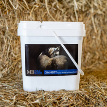 Charger l'image dans la galerie, Omneity – Premix