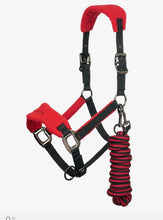 Charger l'image dans la galerie, Licou LeMieux Vogue Fleece Headcollar & Leadrope