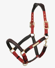 Charger l'image dans la galerie, Licou Lemieux Capella