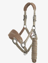 Charger l'image dans la galerie, Licou LeMieux Vogue Fleece Headcollar & Leadrope