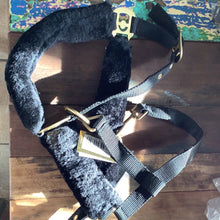 Charger l'image dans la galerie, Licou fausse fourrure Lincoln Horze