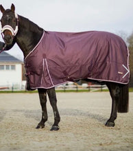 Charger l'image dans la galerie, Horze Glasgow Light Weight Turnout Blanket 100g - Iron Gate