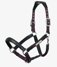 Charger l'image dans la galerie, Licou Lemieux Capella