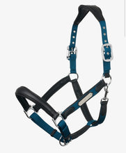 Charger l'image dans la galerie, Licou Lemieux Capella