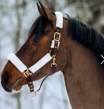 Charger l'image dans la galerie, Licou fausse fourrure Lincoln Horze