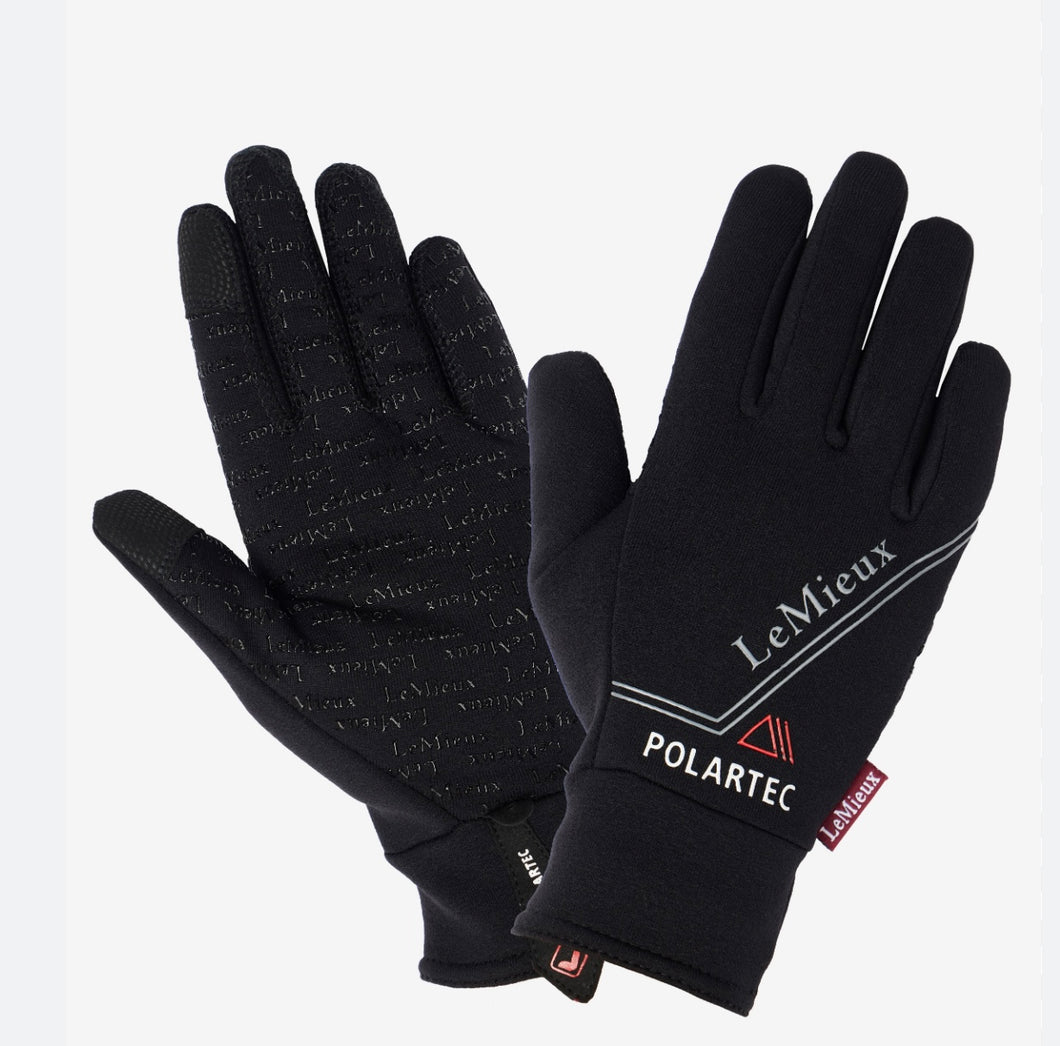 Gant Polartec Lemieux glove