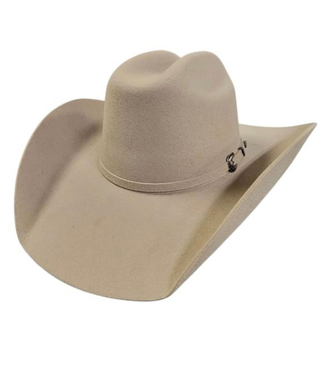 Chapeau cowboy/hat