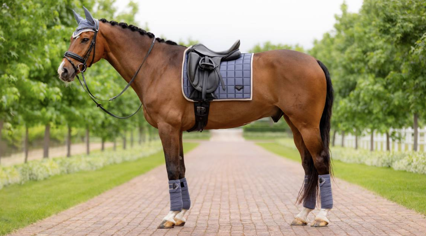 Tapis de selle pour cheval daim LeMieux EuroJump - black - L Tapis de selle pour cheval daim LeMieux EuroJump - black - L