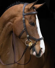 Charger l&#39;image dans la galerie, Bride Rambo Micklem/ Bridle full
