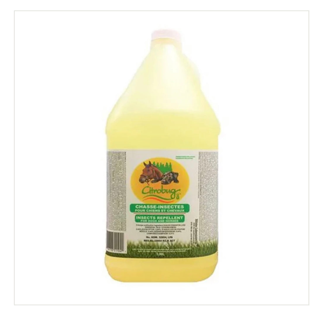 CITROBUG Chasse-Insectes pour chiens et chevaux 1L