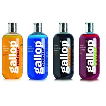 GALLOP - Color enhancing shampoo for grey horses