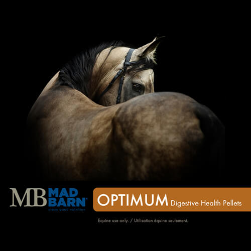 Optimum Digestive Health de Mad Barn