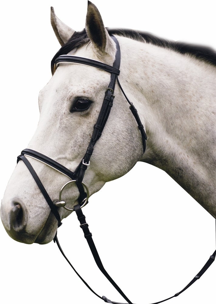 Bride De Dressage Confort Benz Equestrian – Rembourrée, Noir, Neuve Avec Emballage