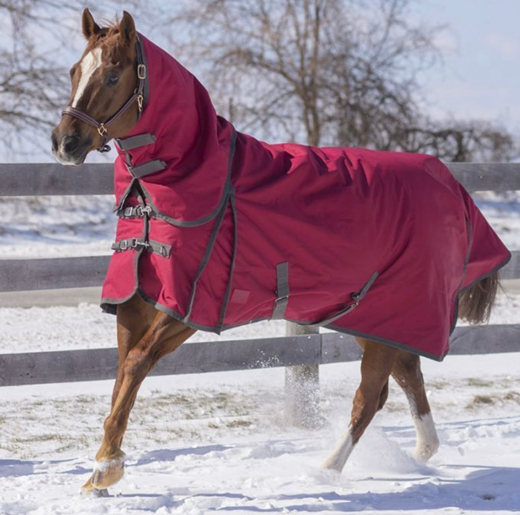 Couverture cheval - Couvertures pour la protection du cheval