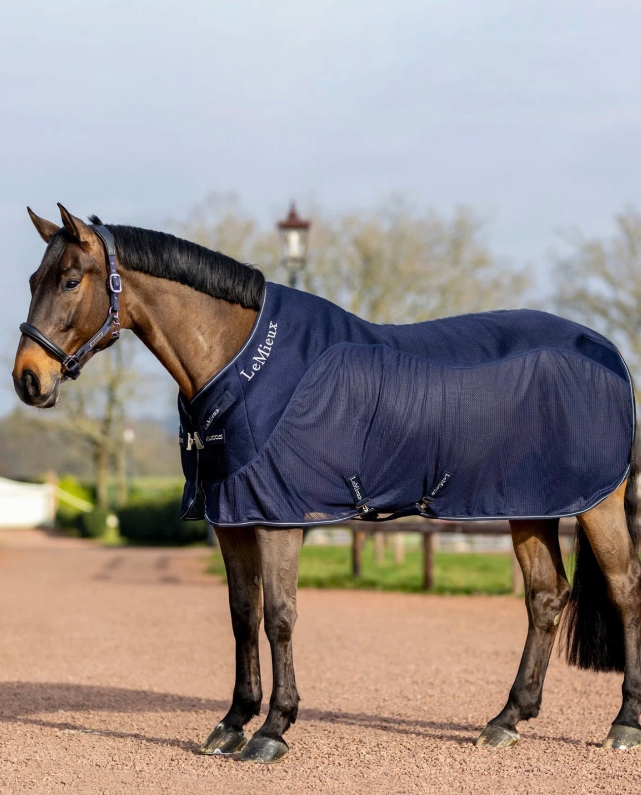 Couverture polaire pour cheval LeMieux Luxe - Zoo Mania