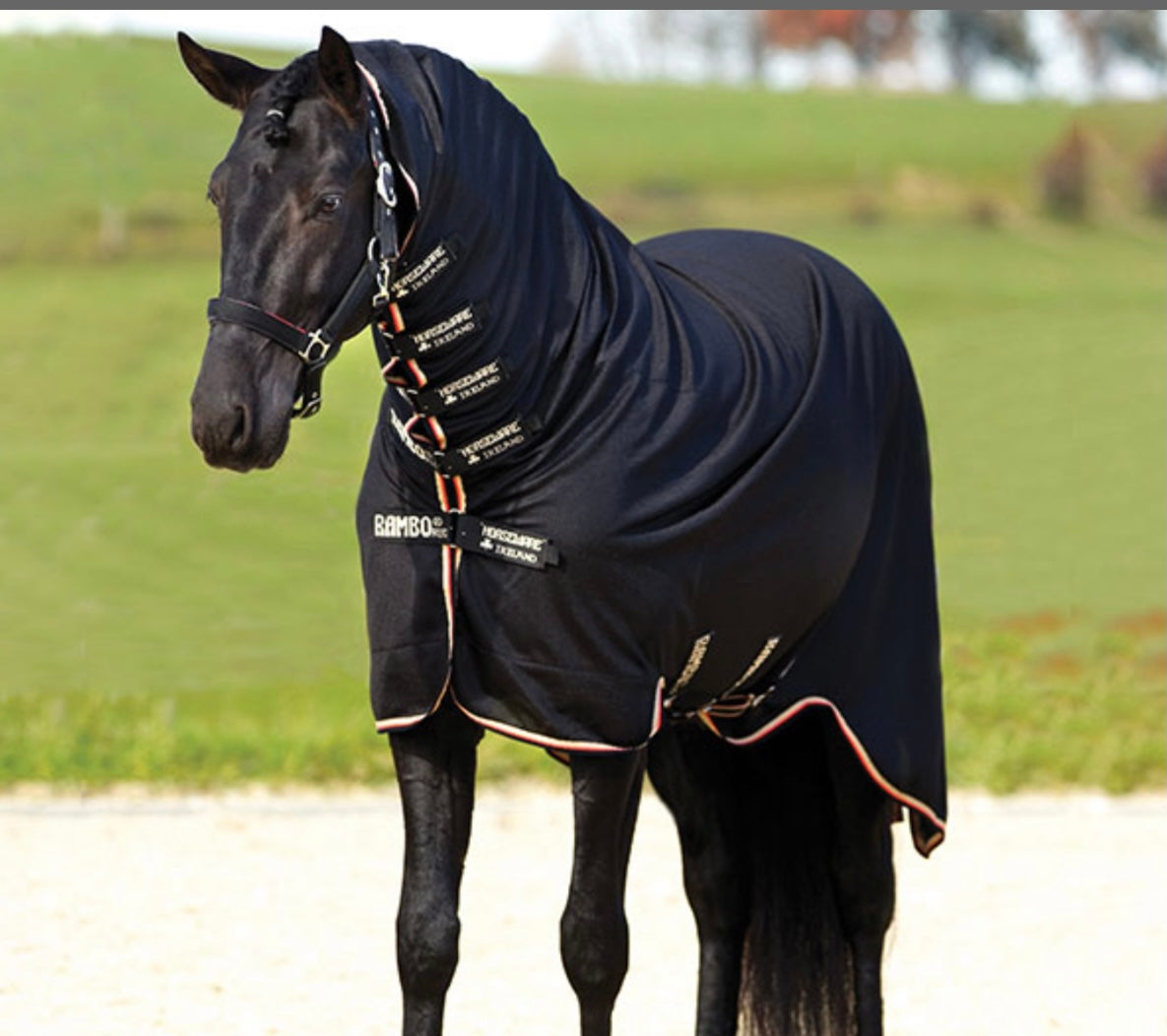 Manteau Horseware chien Waterproof - Manteau chien - Le Paturon