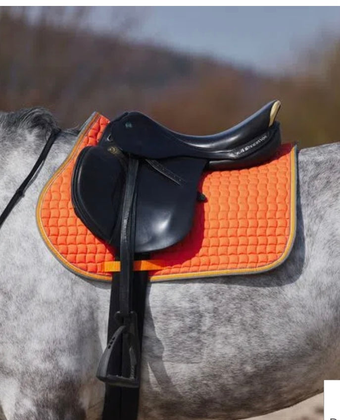 HORZE Tapis de selle HZ Bristol DR HORZE Tapis de selle HZ Bristol DR